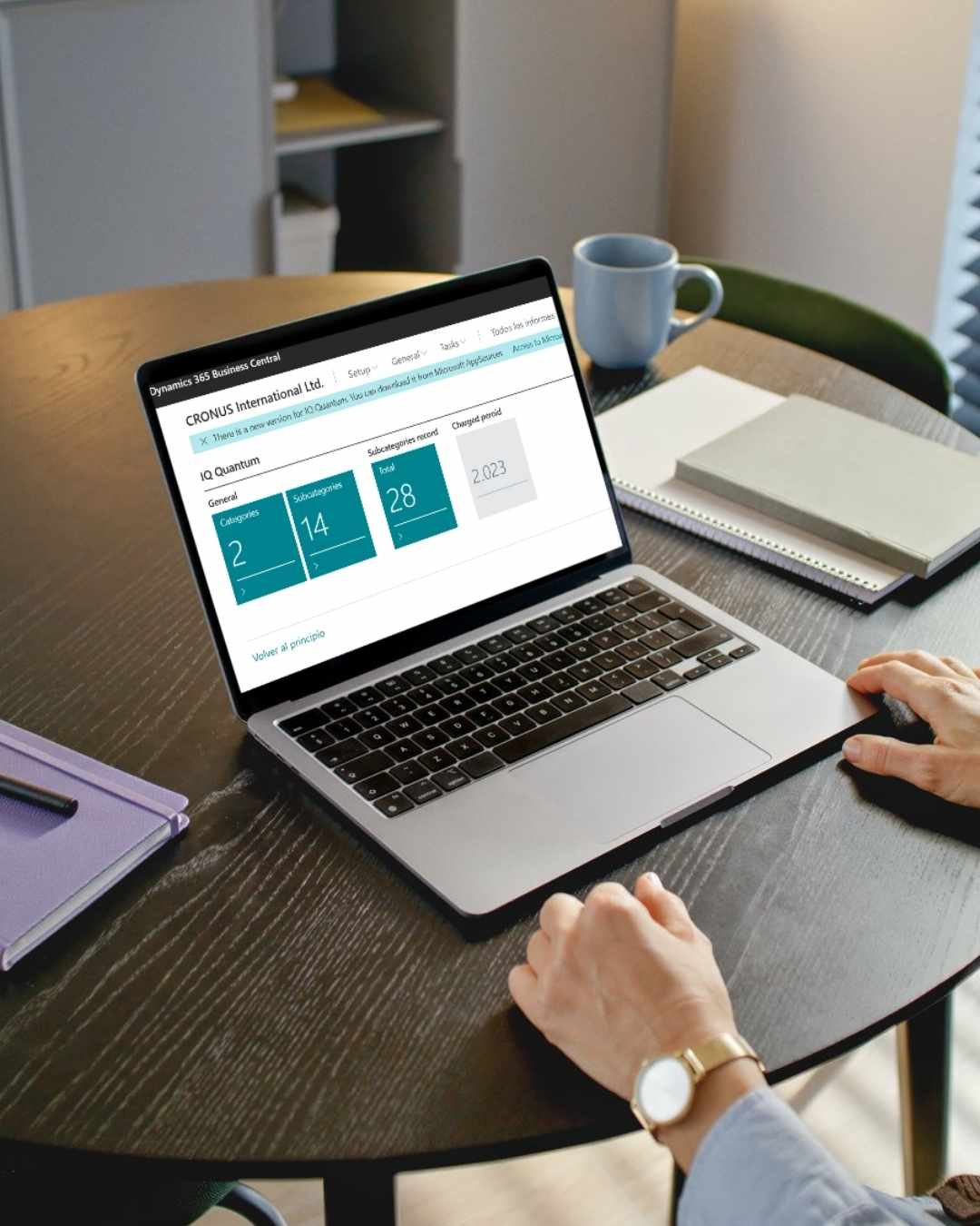IQ Quantum sostenibilidad business central