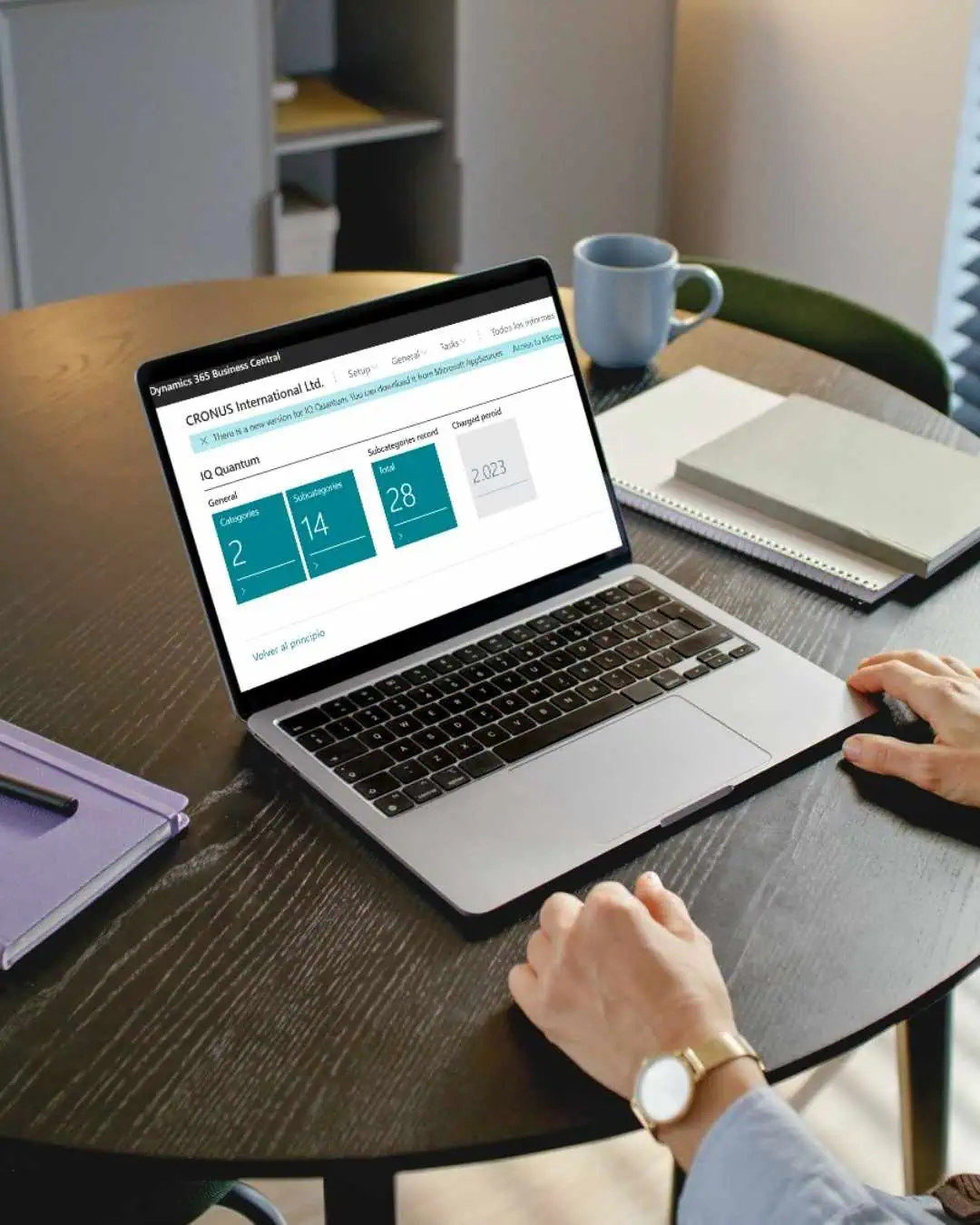 IQ Quantum sostenibilidad business central